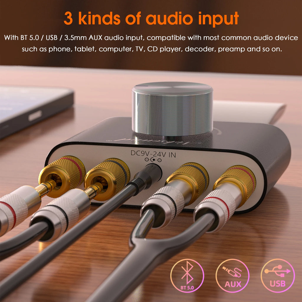 Douk Audio HiFi Bluetooth 5.0 Power Amplifier Mini TPA3116 Digital Class D Desk Stereo Audio Amp for Home Car 50W + 50W